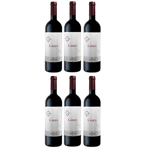 Statti Cauro IGT Calabria Rotwein Cuvee Wein Trocken Italien I Versanel Paket (6 x 0,75l) von Weingut Statti