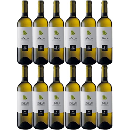 Statti I Gelsi Bianco IGT Calabria Weißwein Wein Trocken Italien I Versanel Paket (12 x 0,75l) von Weingut Statti