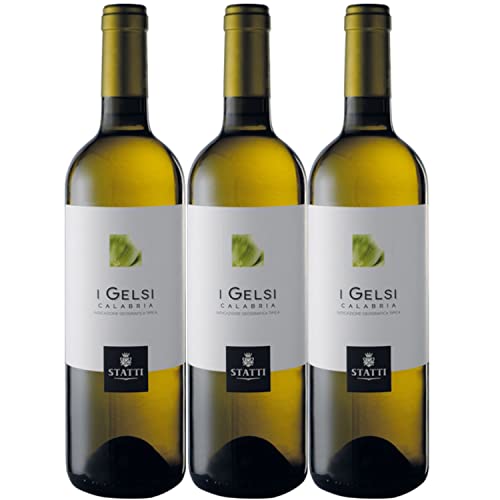Statti I Gelsi Bianco IGT Calabria Weißwein Wein Trocken Italien I Versanel Paket (3 x 0,75l) von Weingut Statti
