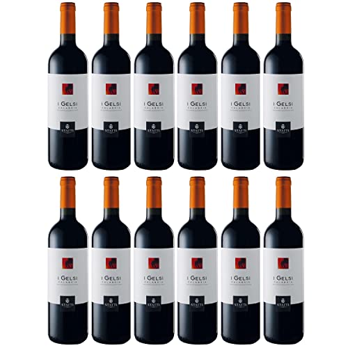 Statti I Gelsi Rosso IGT Calabria Rotwein Wein Trocken Italien I Visando Paket (12 x 0,75l) von Weingut Statti
