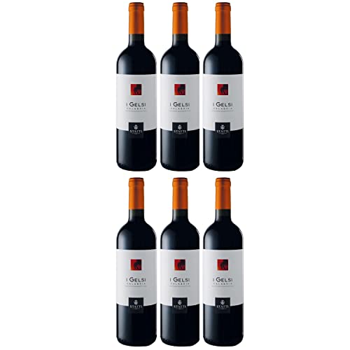 Statti I Gelsi Rosso IGT Calabria Rotwein Wein Trocken Italien I Visando Paket (6 x 0,75l) von Weingut Statti