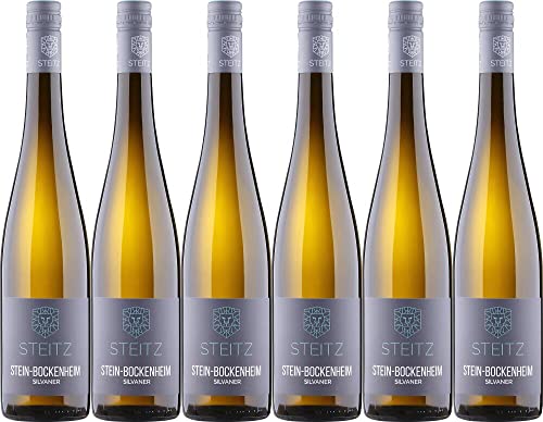 6x Silvaner Stein-Bockenheim trocken 2021 - Weingut Steitz, Rheinhessen - Weißwein von Weingut Steitz