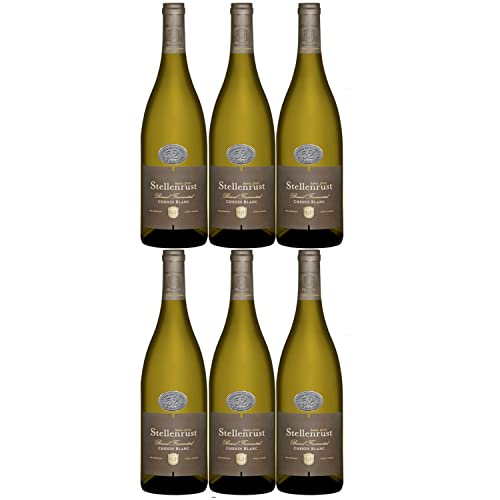 Stellenrust 54 Barrel Fermented Chenin Blanc Stellenbosch Weißwein Wein trocken Südafrika Inkl. FeinWert E-Book (6 x 0,75l) von Weingut Stellenrust