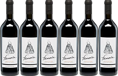 6x Fanova Primitivo 2021 - Weingut Terrecarsiche 1939, Puglia - Rotwein von Weingut Terrecarsiche 1939