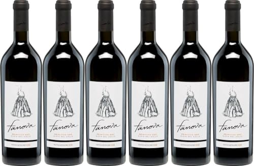 6x Primitivo Fanova 2021 - Weingut Terrecarsiche 1939, Puglia - Rotwein von Weingut Terrecarsiche 1939