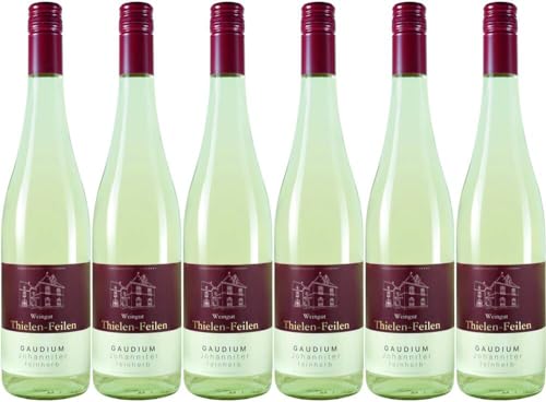 6x Gaudium Johanniter feinherb 2023 - Weingut Thielen-Feilen, Mosel - Weißwein von Weingut Thielen-Feilen