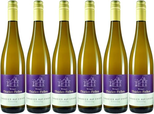 6x Paradies Auf Erden Riesling fruchtsüß 2023 - Weingut Thielen-Feilen, Mosel - Weißwein von Weingut Thielen-Feilen