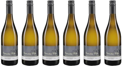 6x Grauer Burgunder trocken 2023 - Weingut Thomas-Rüb, Rheinhessen - Weißwein von Weingut Thomas-Rüb