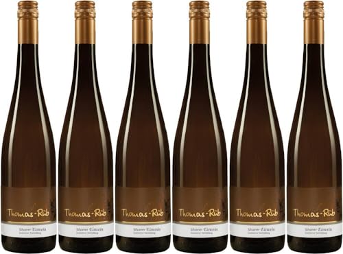 6x Riesling Auslese -edelsüß- 2022 - Weingut Thomas-Rüb, Rheinhessen von Weingut Thomas-Rüb