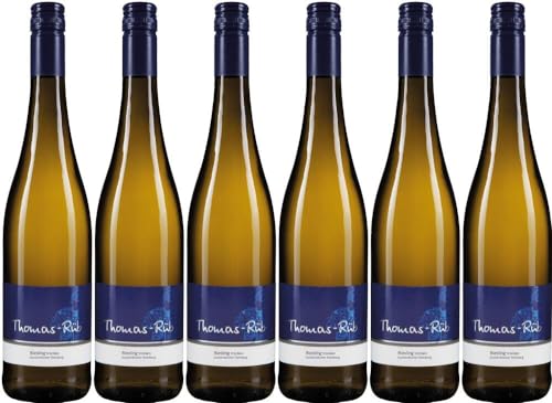 6x Riesling trocken 2022 - Weingut Thomas-Rüb, Rheinhessen - Weißwein von Weingut Thomas-Rüb