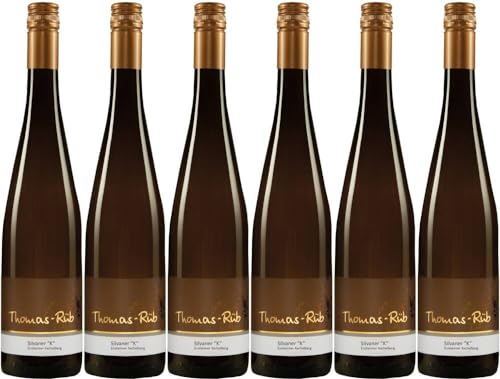 6x Silvaner 'K' 1422 trocken 2022 - Weingut Thomas-Rüb, Rheinhessen - Weißwein von Weingut Thomas-Rüb