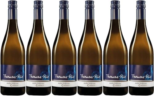 6x Weißer Burgunder Classic 2023 - Weingut Thomas-Rüb, Rheinhessen - Weißwein von Weingut Thomas-Rüb