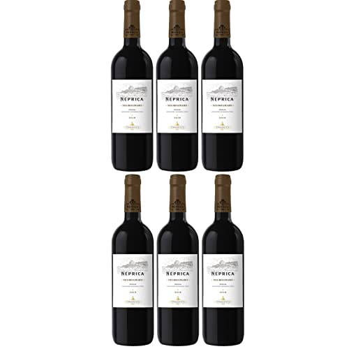 Tormaresca Antinori Neprica Negroamaro IGT Puglia Rotwein Wein Trocken Italien I Visando Paket (6 x 0,75l) von Weingut Tormaresca