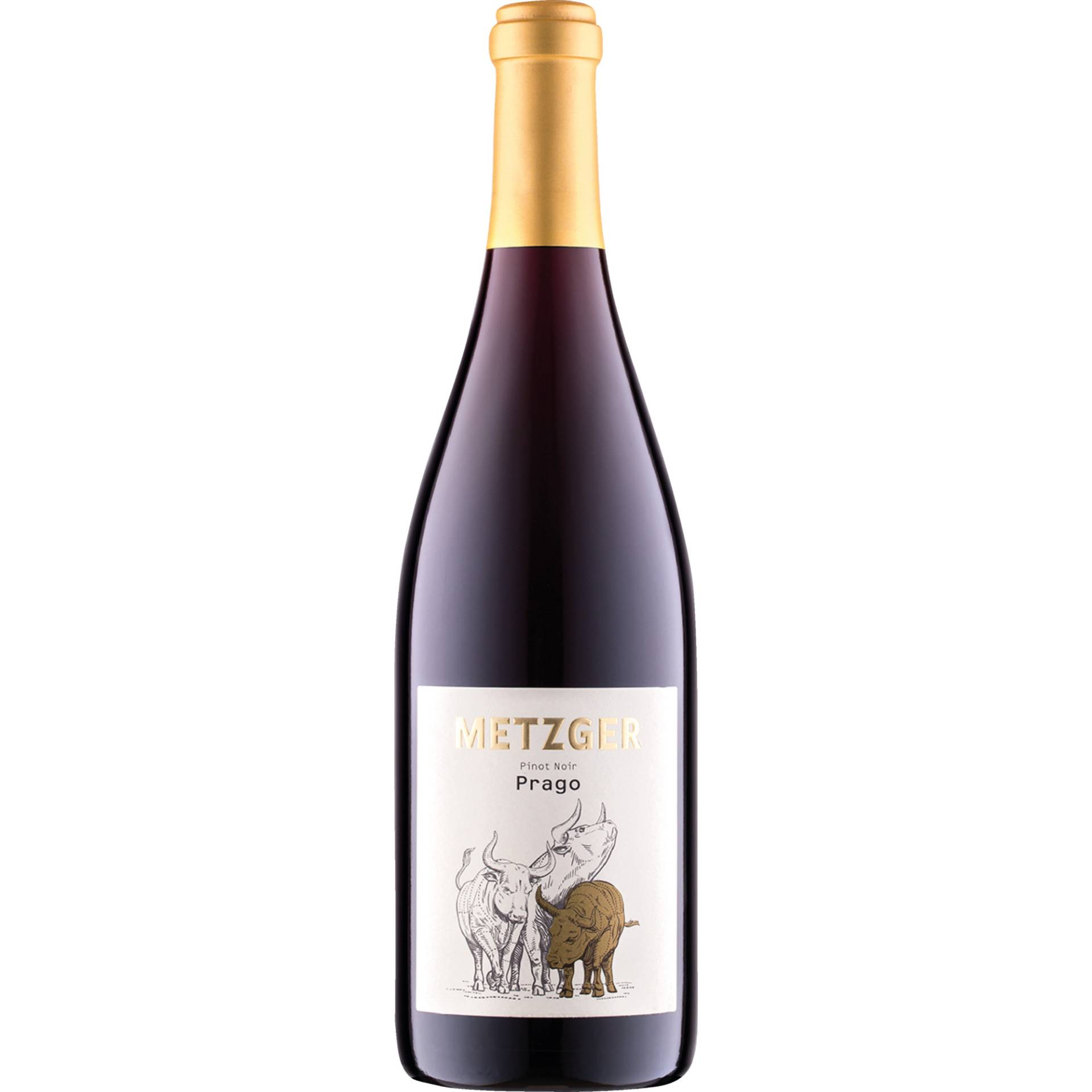 Prago Pinot Noir, Trocken, Pfalz, Pfalz, 2021, Rotwein Prago Pinot Noir, Trocken, Pfalz, Pfalz, 2021, Rotwein von Weingut Uli Metzger, D - 67269 Grünstadt