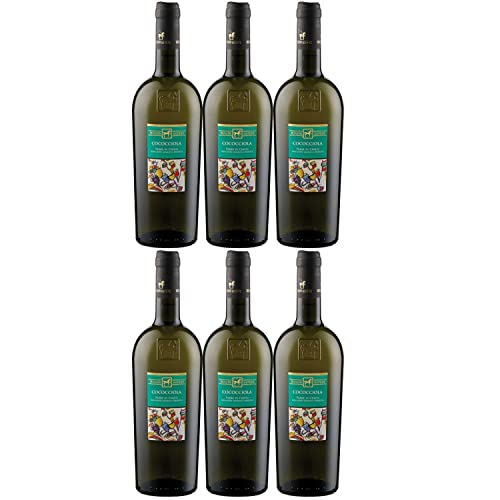 Tenuta Ulisse Cococciola Terre di Chieti Weißwein Wein Trocken IGP Italien I Versanel Paket (6 x 0,75l) von Weingut Ulisse