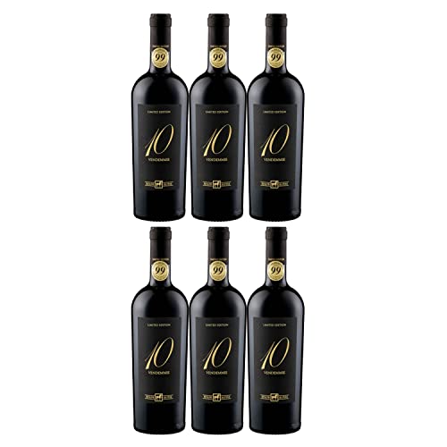 Tenuta Ulisse DIECI VENDEMMIE NV Montepulciano d'Abruzzo Rotwein Wein Halbtrocken Italien I Versanel Paket (6 x 0,75l) von Weingut Ulisse