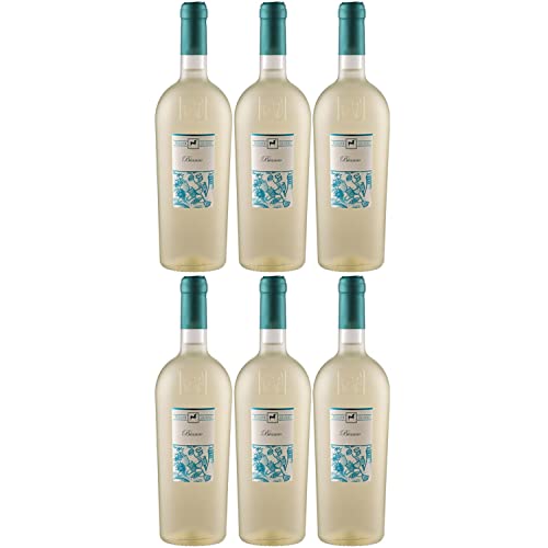 Tenuta Ulisse Linea Ulisse Selezione Bianco Weißwein Wein Trocken Italien I Versanel Paket (6 x 0,75l) von Weingut Ulisse
