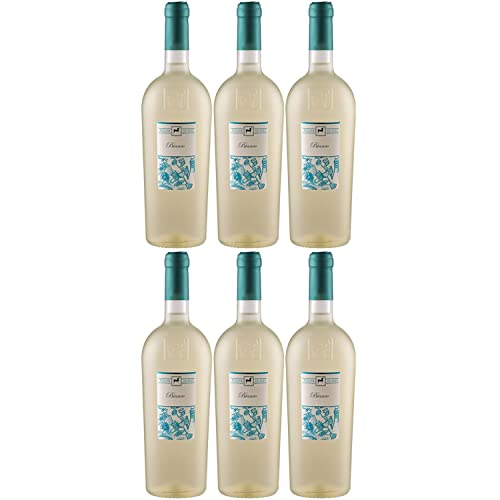 Tenuta Ulisse Linea Ulisse Selezione Bianco Weißwein Wein Trocken Italien I Versanel Paket (6 x 0,75l) von Weingut Ulisse