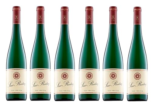 6x 0,75l - 2023er - Weingut Van Volxem - Saar - Riesling - VDP.Gutswein - Qualitätswein Mosel - Deutschland - Weißwein trocken 6x 0,75l - 2023er - Weingut Van Volxem - Saar - Riesling - VDP.Gutswein - Qualitätswein Mosel - Deutschland - Weißwein trocken von Weingut Van Volxem