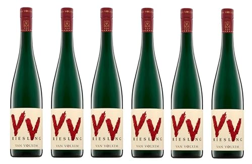 6x 0,75l - 2023er - Weingut Van Volxem - VV - Riesling - feinherb - Qualitätswein Mosel - Deutschland - Weißwein halbtrocken 6x 0,75l - 2023er - Weingut Van Volxem - VV - Riesling - feinherb - Qualitätswein Mosel - Deutschland - Weißwein halbtrocken von Weingut Van Volxem