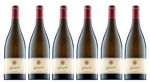 6x 0,75l - 2023er - Weingut Van Volxem - Weißburgunder - VDP.Gutswein - Qualitätswein Mosel - Deutschland - Weißwein trocken 6x 0,75l - 2023er - Weingut Van Volxem - Weißburgunder - VDP.Gutswein - Qualitätswein Mosel - Deutschland - Weißwein trocken von Weingut Van Volxem
