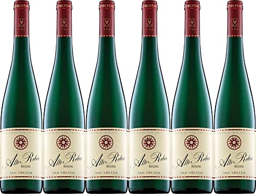 6x Van Volxem Riesling 'Alte Reben' Gutswein 2021 - Weingut Van Volxem, Mosel - Weißwein von Weingut Van Volxem
