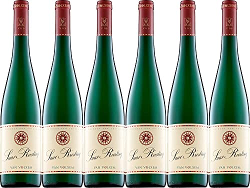 6x Van Volxem Saar Riesling Gutswein 2021 - Weingut Van Volxem, Mosel - Weißwein von Weingut Van Volxem