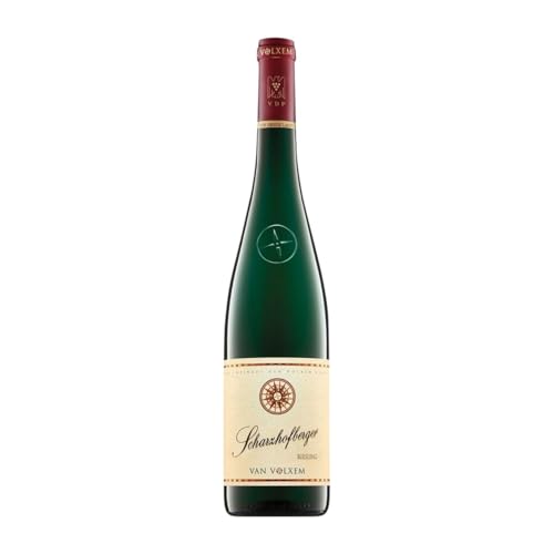 Van Volxem Wiltingen Scharzhorberger Riesling Grosses Gewächs GG 75 cl Weißwein Van Volxem Wiltingen Scharzhorberger Riesling Grosses Gewächs GG 75 cl Weißwein von Weingut Van Volxem