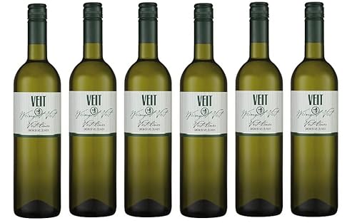6x 0,75l - 2023er - Weingut Veit - "Veit-liner" - Grüner Veltliner - Niederösterreich - Weißwein trocken von Weingut Veit