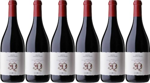 6x Sesto A Quinconce Irpinia Aglianico 2013 - Weingut Vinosia, Campania - Rotwein von Weingut Vinosia
