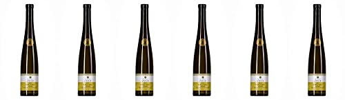 6x Riesling Auslese edelsüß 2019 - Weingut Volk, Mittelrhein - Weißwein von Weingut Volk