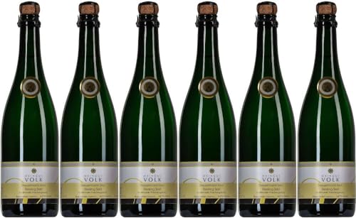6x Steuermann Riesling Sekt brut 2019 - Weingut Volk, Mittelrhein - Weißwein von Weingut Volk