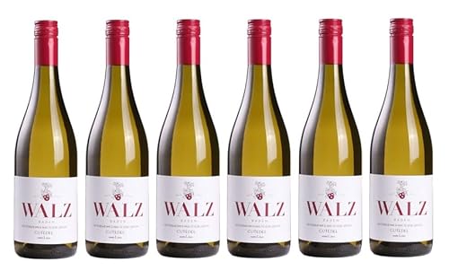 6x 0,75l - 2023er - Weingut Walz - Heitersheimer Maltesergarten - Gutedel vom Löss - Qualitätswein Baden - Deutschland - Weißwein trocken 6x 0,75l - 2023er - Weingut Walz - Heitersheimer Maltesergarten - Gutedel vom Löss - Qualitätswein Baden - Deutschland - Weißwein trocken von Weingut Walz