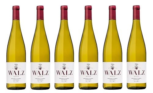 6x 0,75l - Weingut Walz - Gundern Altenberg - Gutedel - Qualitätswein Baden - Deutschland - Weißwein trocken von Weingut Walz