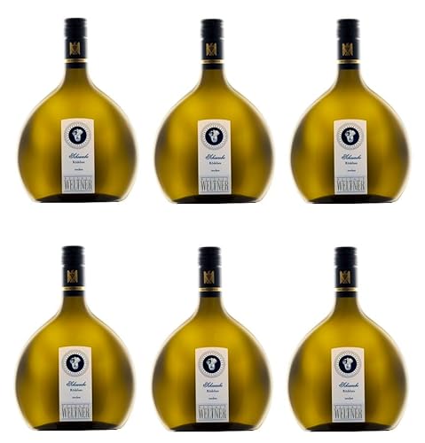 6x 0,75l - 2023er - Weingut Weltner - Rödelseer Scheurebe - VDP.Ortswein - Qualitätswein Franken - Deutschland - Weißwein trocken 6x 0,75l - 2023er - Weingut Weltner - Rödelseer Scheurebe - VDP.Ortswein - Qualitätswein Franken - Deutschland - Weißwein trocken von Weingut Weltner