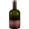Werner (Mosel)  GIN AD USUM London dry Gin 0,5 L von Weingut Werner