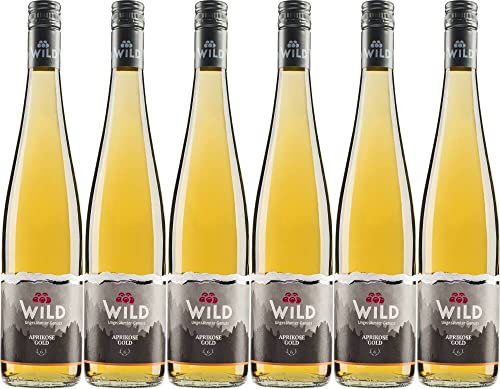 6x Aprikosen Gold - Weingut Franz Wild von Weingut Franz Wild