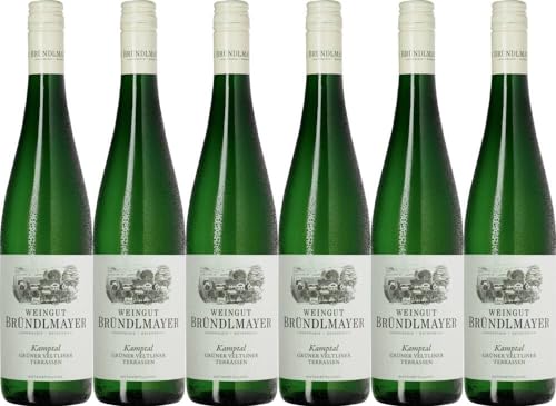 6x Bründlmayer Grüner Veltliner 'Terrassen' DAC 2022 - Weingut Willi Bründlmayer, Kamptal - Weißwein von Weingut Willi Bründlmayer