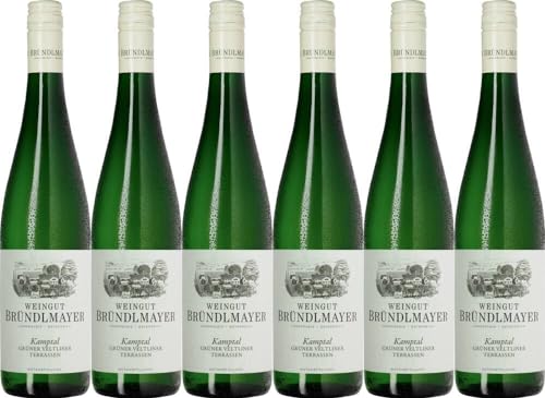 6x Bründlmayer Grüner Veltliner 'Terrassen' DAC 2023 - Weingut Willi Bründlmayer, Kamptal - Weißwein 6x Bründlmayer Grüner Veltliner 'Terrassen' DAC 2023 - Weingut Willi Bründlmayer, Kamptal - Weißwein von Weingut Willi Bründlmayer