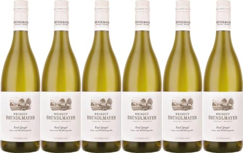 6x Bründlmayer Langenloiser Spiegel Grau- und Weißburgunder 2021 - Weingut Willi Bründlmayer, Kamptal - Weißwein von Weingut Willi Bründlmayer