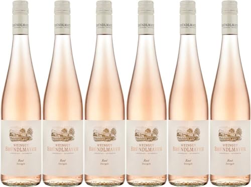 6x Bründlmayer Rosé vom Zweigelt Kamptal DAC 2022 - Weingut Willi Bründlmayer, Kamptal - Rosé von Weingut Willi Bründlmayer