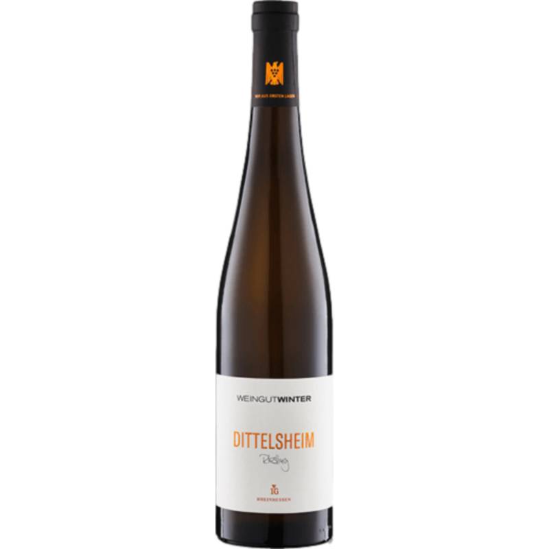 Weingut Winter Dittelsheim Riesling Erste Lage, Trocken, Rheinhessen, Rheinhessen, 2019, Weißwein von Weingut Winter GbR, Heilgebaumstr. 34, D - 67596 Dittelsheim