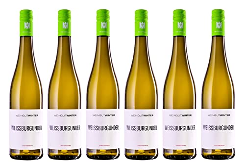 6x 0,75l - 2023er - Weingut Winter - Weißburgunder - VDP.Gutswein - Qualitätswein Rheinhessen - Deutschland - Weißwein trocken 6x 0,75l - 2023er - Weingut Winter - Weißburgunder - VDP.Gutswein - Qualitätswein Rheinhessen - Deutschland - Weißwein trocken von Weingut Winter