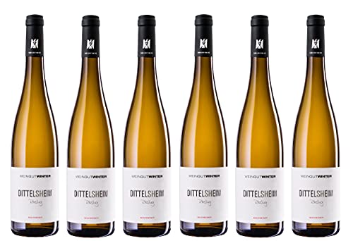 6x 0,75l - Weingut Winter - Dittelsheim - Riesling - VDP.Ortswein - Qualitätswein Rheinhessen - Deutschland - Weißwein trocken von Weingut Winter