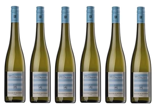6x 0,75l - 2023er - Weingut Wittmann - Weißer Burgunder - VDP.Gutswein - Qualitätswein Rheinhessen - Deutschland - Weißwein trocken 6x 0,75l - 2023er - Weingut Wittmann - Weißer Burgunder - VDP.Gutswein - Qualitätswein Rheinhessen - Deutschland - Weißwein trocken von Weingut Wittmann