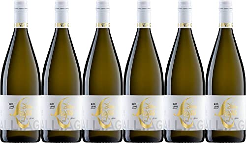 6x Riesling feinherb 2023 - Weingut Zöller-Lagas, Pfalz - Weißwein von Weingut Zöller-Lagas