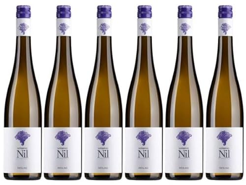 6 Flaschen Riesling tr. 2022 von Weingut am Nil im Sparpack (6x0,75l), trockener Weißwein aus der Pfalz von Weingut am Nil