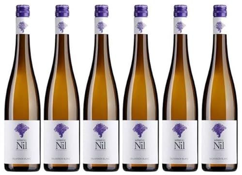 6 x Sauvignon Blanc tr. 2023 von Weingut am Nil im Sparpack (6x0,75l), trockener Weißwein aus der Pfalz von Weingut am Nil