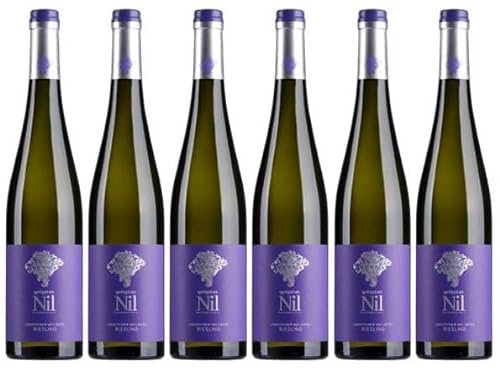 6 x Ungsteiner Weilberg Riesling tr. 2020 von Weingut am Nil im Sparpack (6x0,75l), trockener Weißwein aus der Pfalz von Weingut am Nil