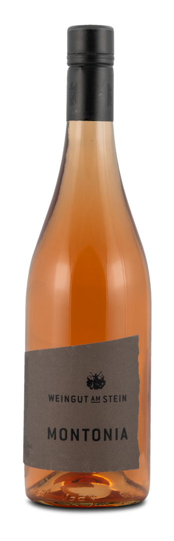 2021 Montonia Rosé Fumé Spätburgunder trocken von Weingut am Stein